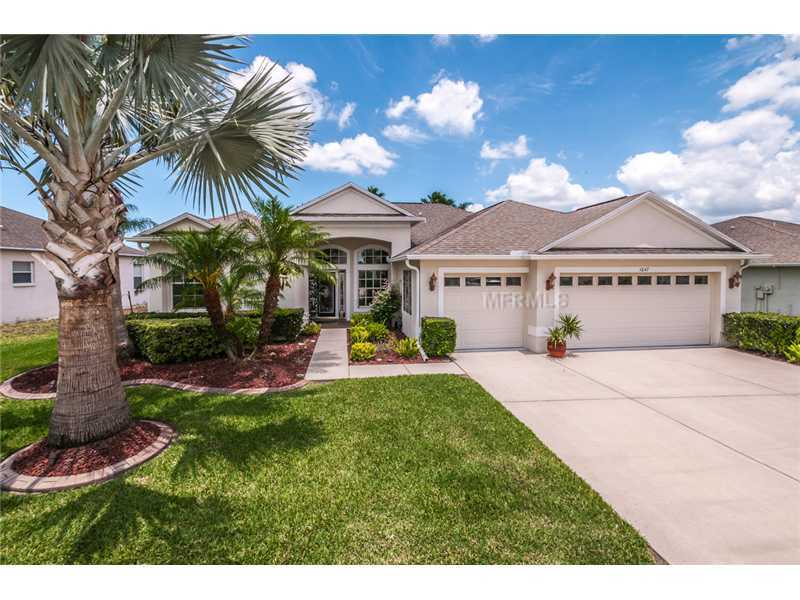 1647 African Violet Ct, Trinity, FL 34655 photo 1