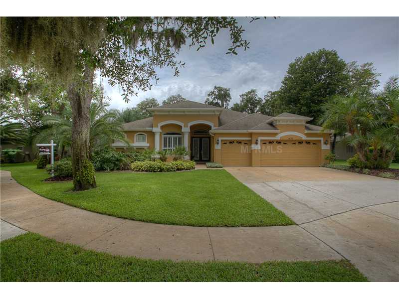 6135 Ibispark Dr, Lithia, FL 33547 photo 1
