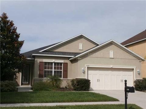 11120 Running Pine Dr, Riverview, FL 33569 photo 1