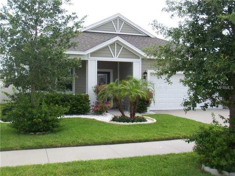 11541 Balintore Dr, Riverview, FL 33579 photo 1