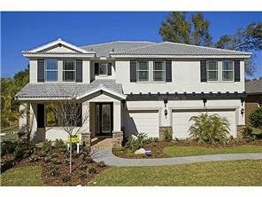 13907 Collier Rock Pl, Riverview, FL 33579 photo 1