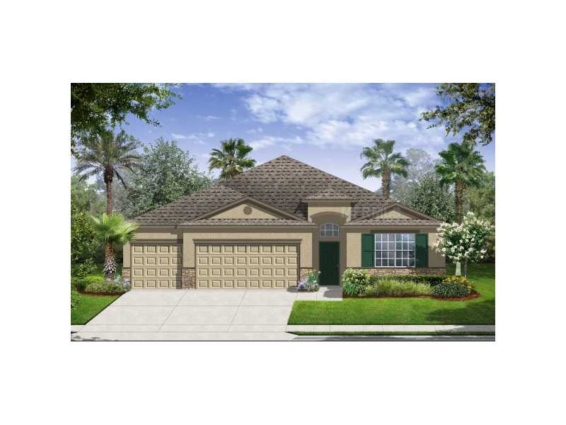12109 Streambed Dr, Riverview, FL 33579 photo 1