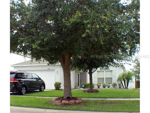 10315 Frog Pond Dr, Riverview, FL 33569 photo 1