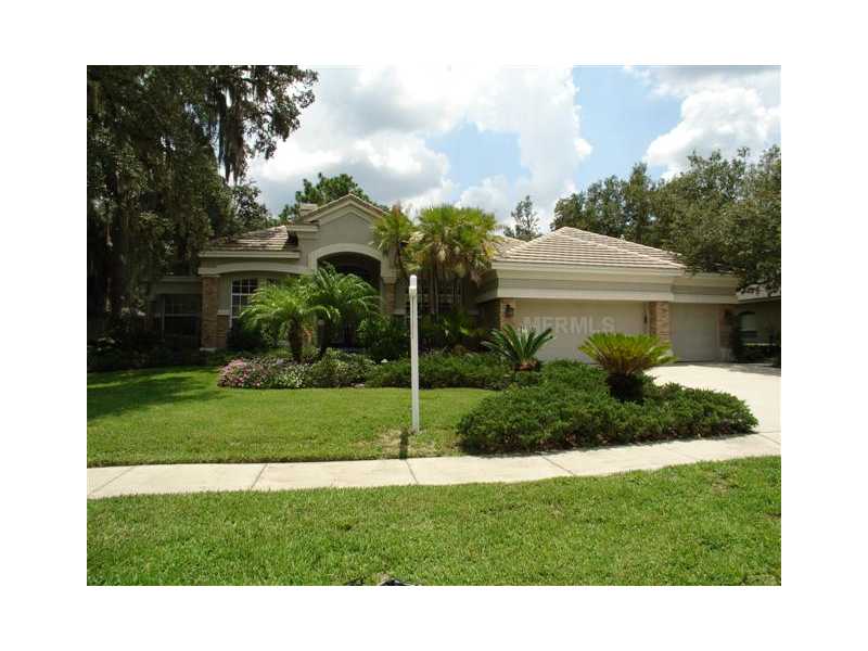 15023 Eaglepark Pl, Lithia, FL 33547 photo 1