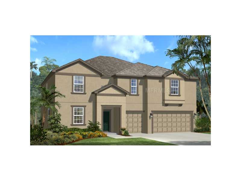 12216 Streambed Dr, Riverview, FL 33579 photo 1