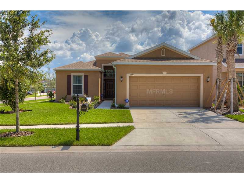 17321 Chelsea Downs Cir, Lithia, FL 33547 photo 1