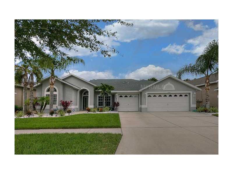 7204 Bucks Ford Dr, Riverview, FL 33578 photo 1