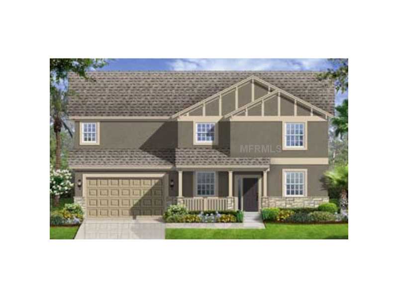 11915 Streambed Dr, Riverview, FL 33579 photo 1