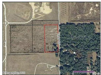 7006 Taylor Rd, Seffner, FL 33584 photo 1