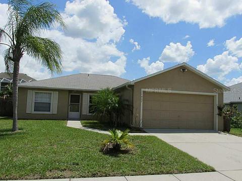 11407 Wellman Dr, Riverview, FL 33578 photo 1