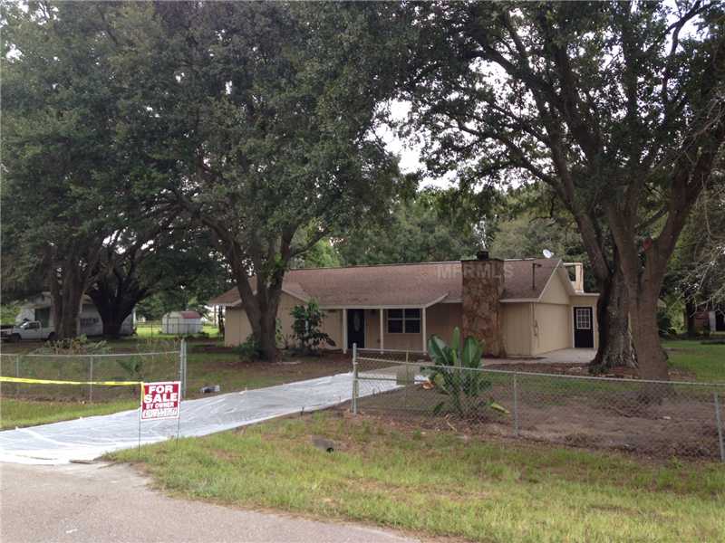 2906 Keysville Dr, Lithia, FL 33547 photo 1