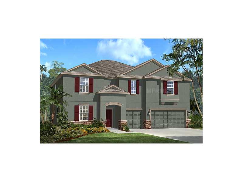 12330 Juniper Field Ct, Riverview, FL 33579 photo 1