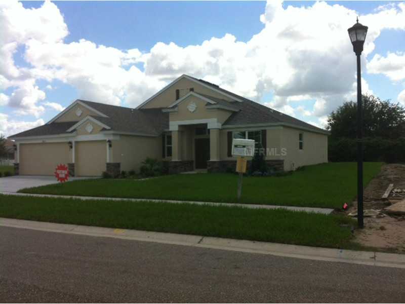 11823 Newberry Grove Loop, Riverview, FL 33579 photo 1
