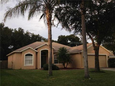 10120 Cannon Dr, Riverview, FL 33578 photo 1
