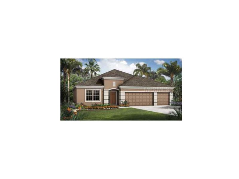 12806 N 21street St E, Parrish, FL 34219 photo 1