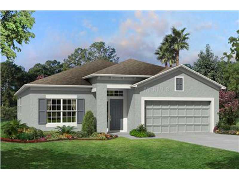 11429 Blue Crane St, Riverview, FL 33569 photo 1