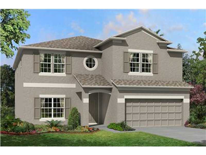 11406 Blue Crane St, Riverview, FL 33569 photo 1