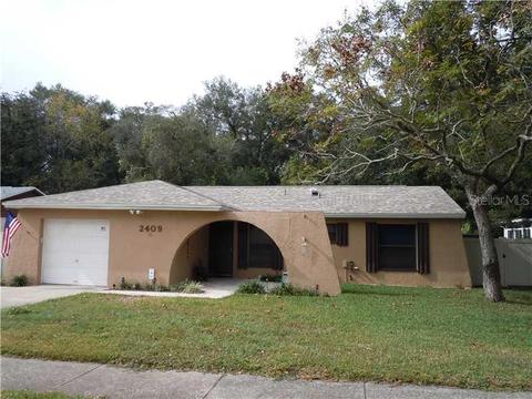 2409 Devonwoode Pl, Seffner, FL 33584 photo 1