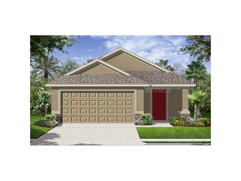 10603 Summer Azure Dr, Riverview, FL 33578 photo 1
