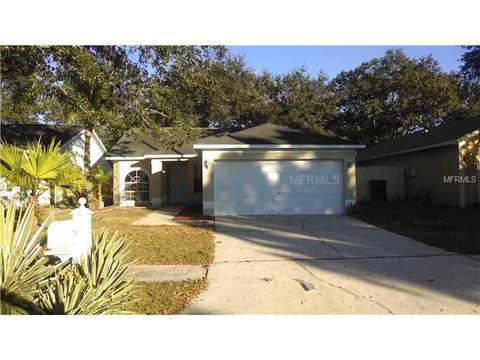 13618 Laraway Dr, Riverview, FL 33579 photo 1