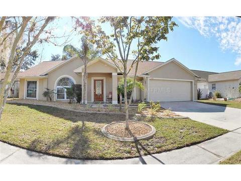 12311 Windswept Ave, Riverview, FL 33569 photo 1