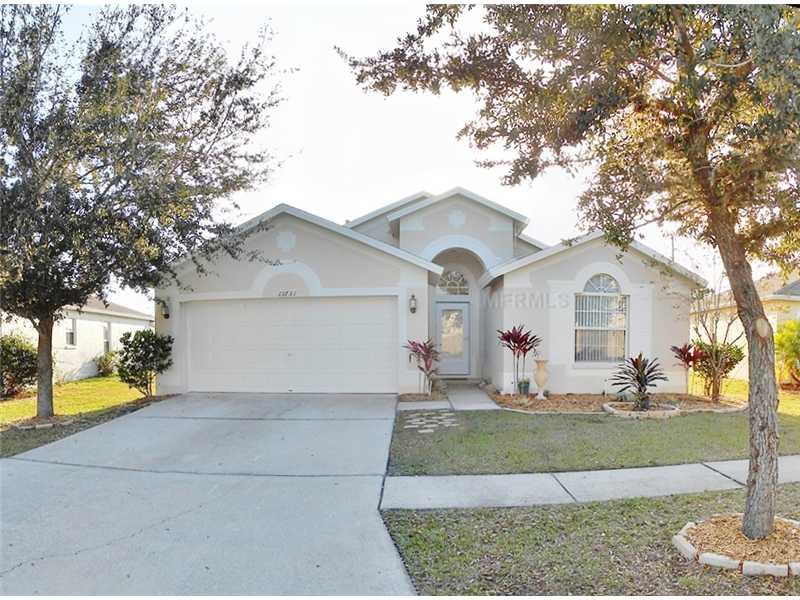 13731 Ogakor Dr, Riverview, FL 33579 photo 1