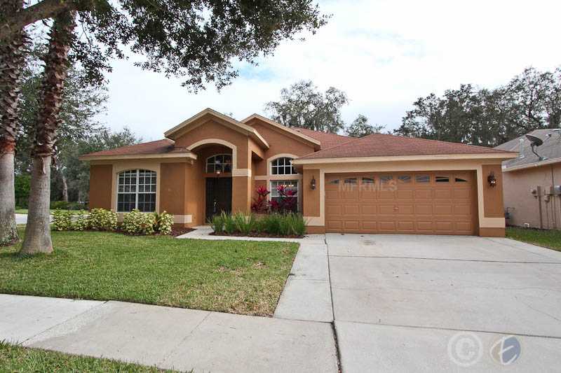 6002 Tealside Ct, Lithia, FL 33547 photo 1