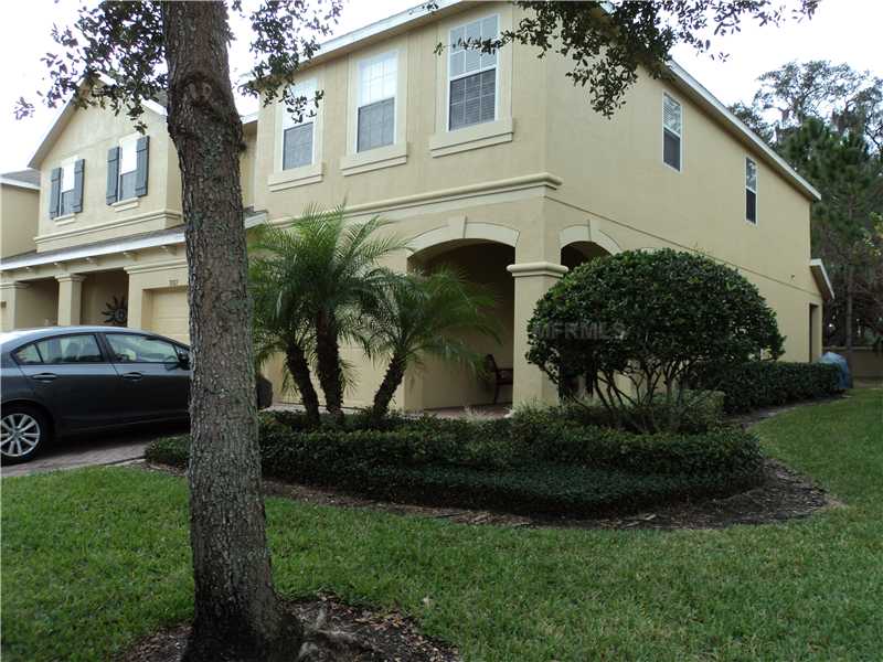 9305 Stone River Pl, Riverview, FL 33578 photo 1