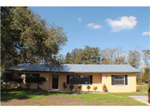 12906 Oliveira St, Dover, FL 33527 photo 1