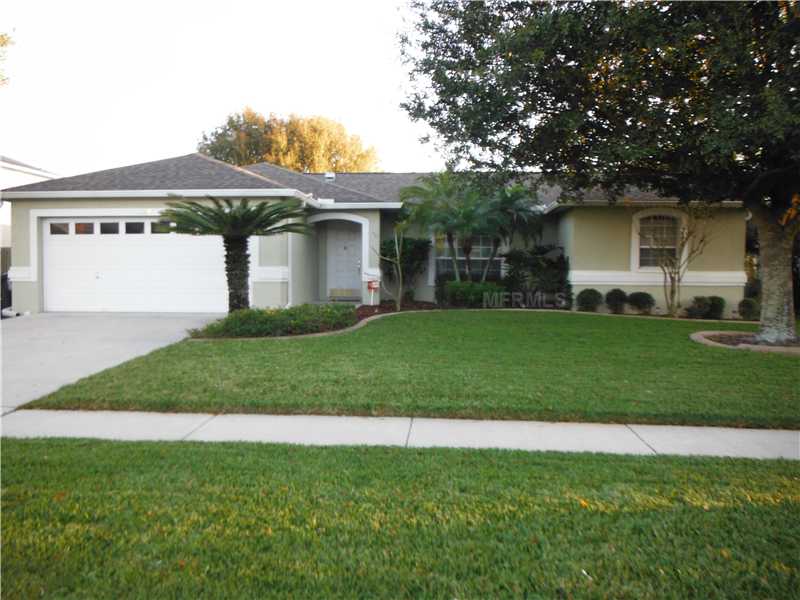 11229 Andy Dr, Riverview, FL 33569 photo 1