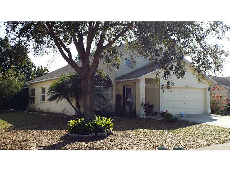 13448 Beechberry Dr, Riverview, FL 33579 photo 1