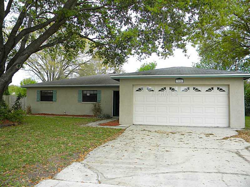 7026 Krycul Ave, Riverview, FL 33578 photo 1