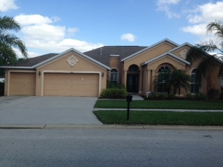 5804 Tanagerside Rd, Lithia, FL 33547 photo 1