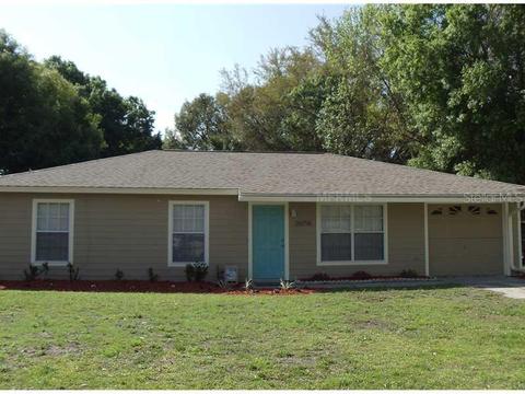 26756 Hickory Loop, Lutz, FL 33559 photo 1