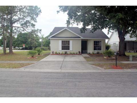 13302 Laraway Dr, Riverview, FL 33579 photo 1