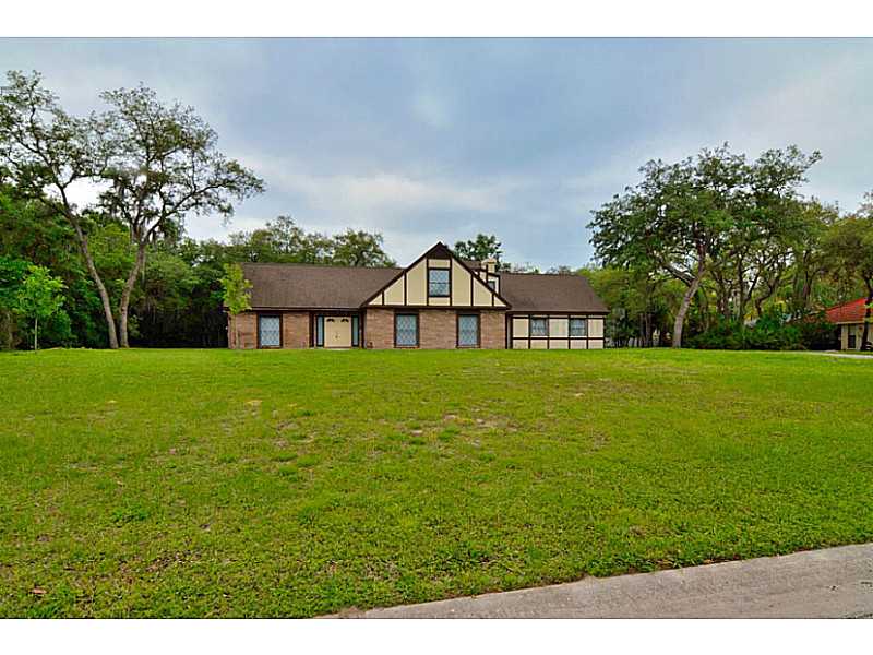 11211 Leprechaun Dr, Riverview, FL 33569 photo 1