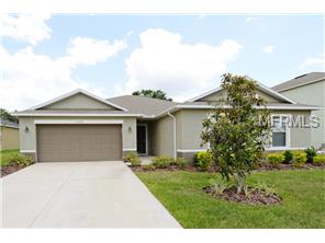 11030 Pond Pine Dr, Riverview, FL 33569 photo 1