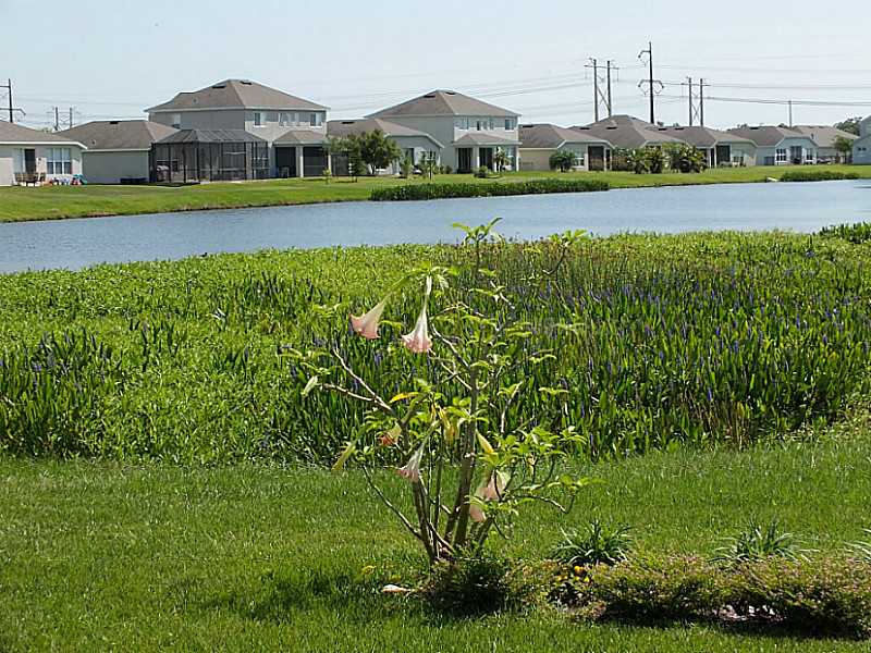 5014 99th Ave E, Parrish, FL 34219 photo 1