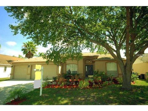 11332 Andy Dr, Riverview, FL 33569 photo 1