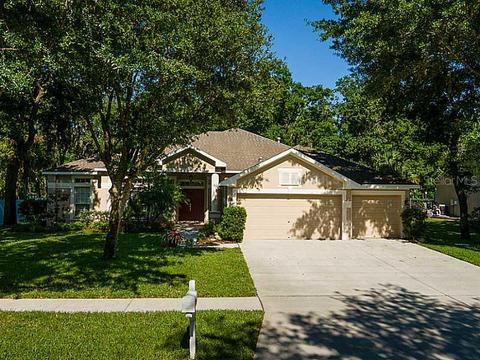 12536 River Birch Dr, Riverview, FL 33569 photo 1