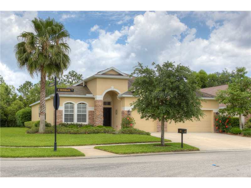 6002 Bridgegate Way, Lithia, FL 33547 photo 1