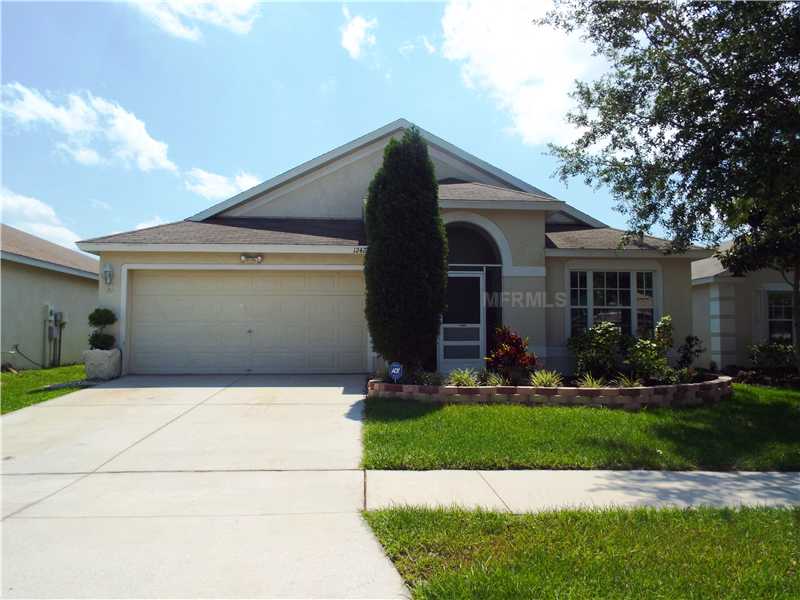 12424 Midpointe Dr, Riverview, FL 33578 photo 1