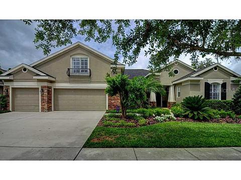 6111 Ibispark Dr, Lithia, FL 33547 photo 1