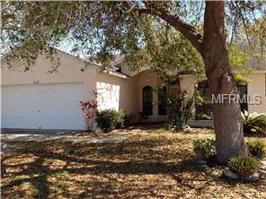 13312 Silvercreek Dr, Riverview, FL 33579 photo 1