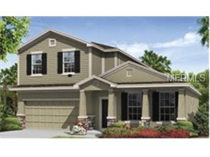 11621 Balintore Dr, Riverview, FL 33579 photo 1