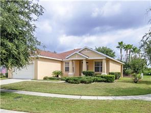 11048 Holly Cone Dr, Riverview, FL 33569 photo 1