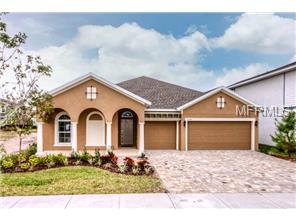7009 Artesian Ct, Apollo Beach, FL 33572 photo 1