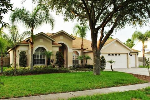 9326 Sunnyoak Dr, Riverview, FL 33569 photo 1