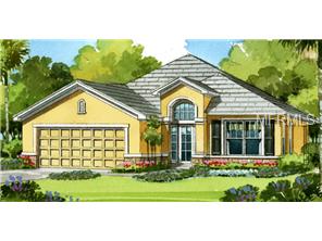 8724 Deep Maple Dr, Riverview, FL 33578 photo 1