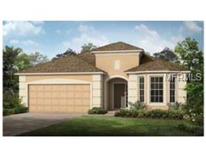 8725 Deep Maple Dr, Riverview, FL 33578 photo 1